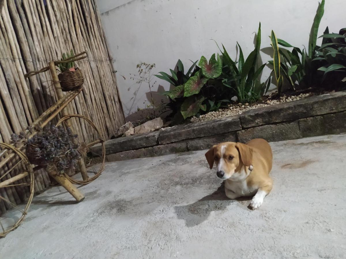 Homestay Casa Candelita Valladolid (Yucatan)