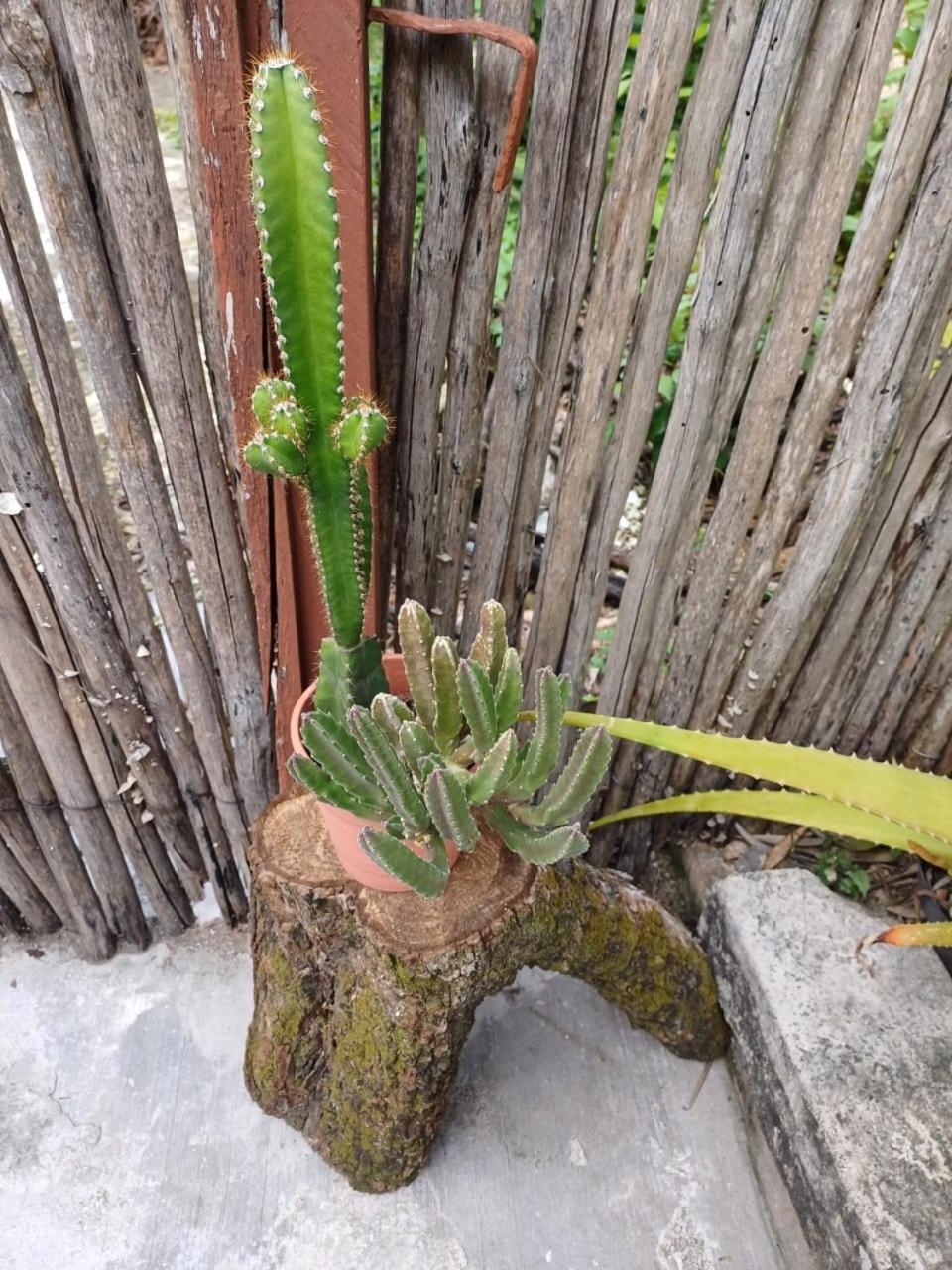 Casa Candelita Privatunterkunft Valladolid (Yucatan)